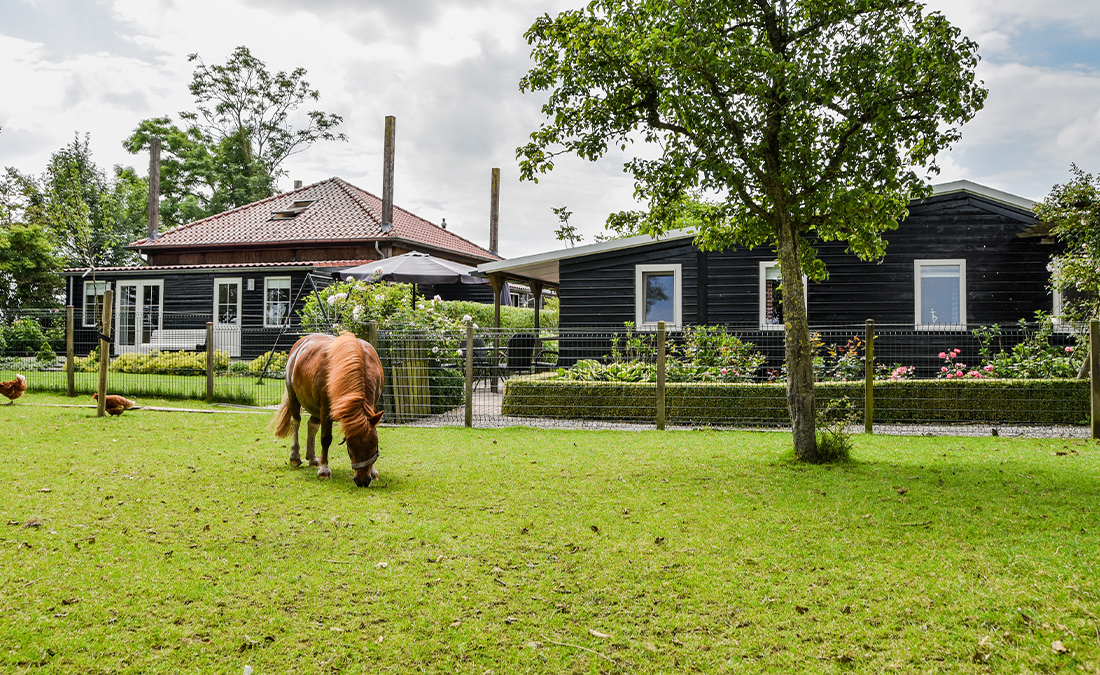 Bed & Breakfast - Beleef de boerderij