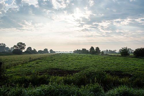 Bed & Breakfast Surrounding - Boerderij Eben Haezer