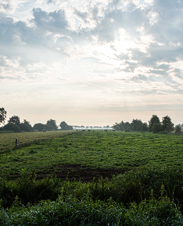 Bed & Breakfast Surrounding - Boerderij Eben Haezer