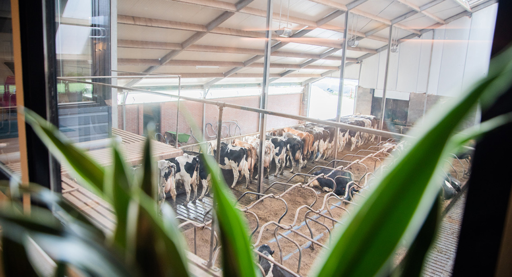 Toe aan een break? - Boerderij Eben Haezer