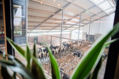Vergaderlocatie nabij Zwolle | Bijzonder vergaderen op de boerderij